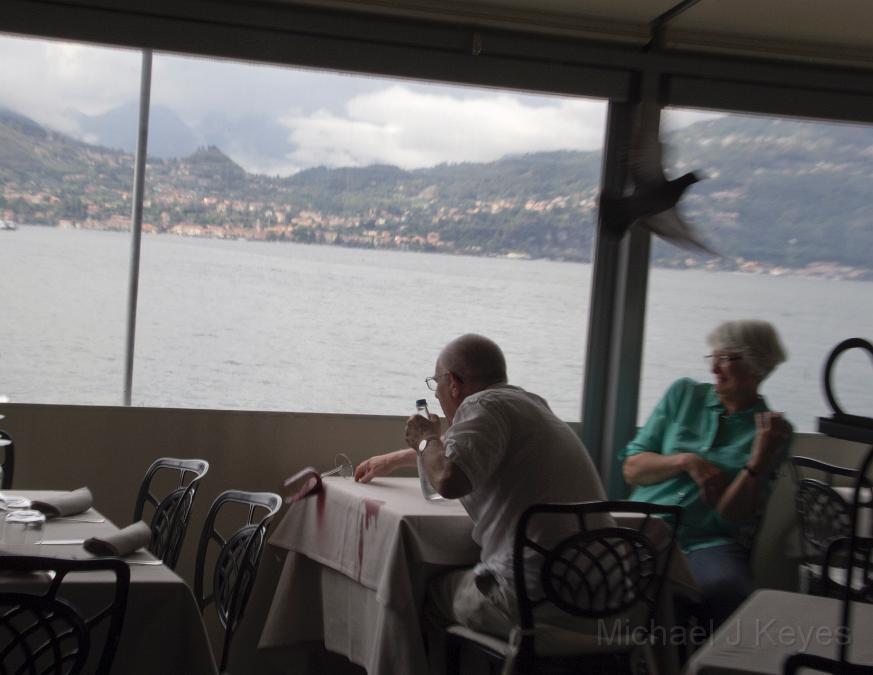 IMG_2831 copy.jpg - Pidgeon Disruption at Veranno, Lake Como, Don't cry over Spilled Wine.